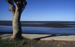 <span class="caption-caption">Beach sandbar, Sandgate</span>, 1996. <br />Slide, collection of <span class="caption-contributor">Ruth Read</span>.