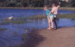 <span class="caption-caption">Dowse lagoon, Sandgate</span>, 1996. <br />Slide, collection of <span class="caption-contributor">Ruth Read</span>.