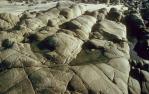 <span class="caption-caption">Rocks, Noosa</span>, 1992. <br />Slide, collection of <span class="caption-contributor">Ruth Read</span>.