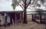 <span class="caption-caption">Sundown Homestead, near Stanthorpe</span>, 1985. <br />Slide, collection of <span class="caption-contributor">Ruth Read</span>.