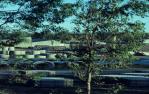 <span class="caption-caption">Concrete pipe works, Wacol</span>, 1980. <br />Slide, collection of <span class="caption-contributor">Ruth Read</span>.