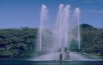 <span class="caption-caption">Fountain, University of Queensland, St Lucia</span>, 1995. <br />Slide, collection of <span class="caption-contributor">Ruth Read</span>.