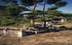 <span class="caption-caption">Toowong Cemetery</span>, 1991. <br />Slide, collection of <span class="caption-contributor">Ruth Read</span>.