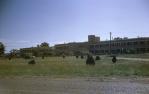<span class="caption-caption">Emerald hospital</span>, 1964. <br />Slide, collection of <span class="caption-contributor">Ross Phillis</span>.