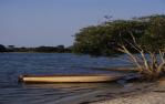 <span class="caption-caption">Maroochy River</span>, 1999. <br />Slide, collection of <span class="caption-contributor">Ruth Read</span>.