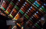 <span class="caption-caption">House of Bottles, Tewantin</span>, 1971. <br />Slide, collection of <span class="caption-contributor">Stan Emslie</span>.