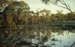 <span class="caption-caption">Dam, Ackeray Station, Augathella</span>, 1979. <br />Slide by <span class="caption-publisher">Michael Keniger</span>, collection of <span class="caption-contributor">University of Queensland Library</span>.