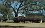 <span class="caption-caption">Ackeray Station, Augathella</span>, 1979. <br />Slide by <span class="caption-publisher">Michael Keniger</span>, collection of <span class="caption-contributor">University of Queensland Library</span>.