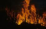 <span class="caption-caption">Sugar cane fire at sunset outside Ayr</span>, 1992. <br />Slide by <span class="caption-publisher">Michael Keniger</span>, collection of <span class="caption-contributor">University of Queensland Library</span>.