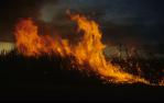 <span class="caption-caption">Sugar cane fire at sunset outside Ayr</span>, 1992. <br />Slide by <span class="caption-publisher">Michael Keniger</span>, collection of <span class="caption-contributor">University of Queensland Library</span>.