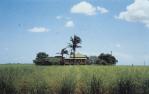 <span class="caption-caption">Farmhouse, Ayr District</span>, 1992. <br />Slide by <span class="caption-publisher">Michael Keniger</span>, collection of <span class="caption-contributor">University of Queensland Library</span>.