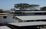 <span class="caption-caption">View northeast over single story apartment, Cotton Tree Housing Estate, Maroochydore</span>, 1996. <br />Slide by <span class="caption-publisher">Michael Keniger</span>, collection of <span class="caption-contributor">University of Queensland Library</span>.