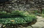 <span class="caption-caption">Interior view, The Hugo Lassen Fernery, Rockhampton Botanic Gardens</span>, 1979. <br />Slide by <span class="caption-publisher">Michael Keniger</span>, collection of <span class="caption-contributor">University of Queensland Library</span>.