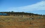 <span class="caption-caption">Landscape near Croydon</span>, 1986. <br />Slide by <span class="caption-publisher">Michael Keniger</span>, collection of <span class="caption-contributor">University of Queensland Library</span>.