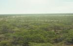 <span class="caption-caption">Aerial view of landscape near Croydon</span>, 1986. <br />Slide by <span class="caption-publisher">Michael Keniger</span>, collection of <span class="caption-contributor">University of Queensland Library</span>.