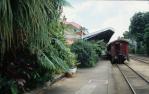 <span class="caption-caption">Eastern end, railway station, Kuranda</span>, 1978. <br />Slide by <span class="caption-publisher">Michael Keniger</span>, collection of <span class="caption-contributor">University of Queensland Library</span>.