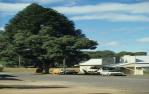 <span class="caption-caption">Streetscape, Yungaburra</span>, 1979. <br />Slide by <span class="caption-publisher">Michael Keniger</span>, collection of <span class="caption-contributor">University of Queensland Library</span>.