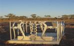 <span class="caption-caption">Grave, Normanton</span>, 1986. <br />Slide by <span class="caption-publisher">Michael Keniger</span>, collection of <span class="caption-contributor">University of Queensland Library</span>.