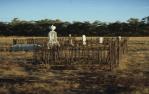 <span class="caption-caption">Graves, Normanton Cemetery</span>, 1986. <br />Slide by <span class="caption-publisher">Michael Keniger</span>, collection of <span class="caption-contributor">University of Queensland Library</span>.