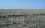 <span class="caption-caption">Landscape outside Normanton</span>, 1986. <br />Slide by <span class="caption-publisher">Michael Keniger</span>, collection of <span class="caption-contributor">University of Queensland Library</span>.