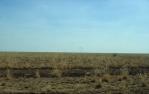<span class="caption-caption">Landscape outside Normanton</span>, 1986. <br />Slide by <span class="caption-publisher">Michael Keniger</span>, collection of <span class="caption-contributor">University of Queensland Library</span>.