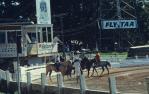 <span class="caption-caption">Showground, Toowoomba</span>, 1979. <br />Slide by <span class="caption-publisher">Michael Keniger</span>, collection of <span class="caption-contributor">University of Queensland Library</span>.
