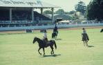 <span class="caption-caption">Showground, Toowoomba</span>, 1979. <br />Slide by <span class="caption-publisher">Michael Keniger</span>, collection of <span class="caption-contributor">University of Queensland Library</span>.