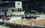 <span class="caption-caption">Showground, Toowoomba</span>, 1979. <br />Slide by <span class="caption-publisher">Michael Keniger</span>, collection of <span class="caption-contributor">University of Queensland Library</span>.