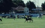<span class="caption-caption">Showground, Toowoomba</span>, 1979. <br />Slide by <span class="caption-publisher">Michael Keniger</span>, collection of <span class="caption-contributor">University of Queensland Library</span>.
