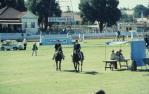 <span class="caption-caption">Showground,Toowoomba</span>, 1979. <br />Slide by <span class="caption-publisher">Michael Keniger</span>, collection of <span class="caption-contributor">University of Queensland Library</span>.