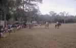 <span class="caption-caption">Races at Bamaga show</span>, 1968. <br />Slide, collection of <span class="caption-contributor">Warwick Willmott</span>.