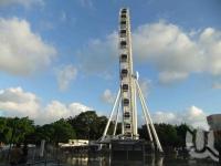 <span class="caption-caption">Wheel of Brisbane flooded, South Bank, January 2011</span>. <br />Digital image, collection of <span class="caption-contributor">Liz Jordan</span>.