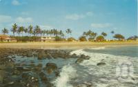 <span class="caption-caption">Surfing Beach, Nielson Park, Bargara</span>, c1960. <br />Postcard, collection of <span class="caption-contributor">Centre for the Government of Queensland</span>.