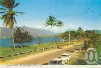 <span class="caption-caption">Coconut Palms, The Esplanade, Cairns</span>, c1962. <br />Postcard folder by <span class="caption-publisher">Murray Views Pty Ltd</span>, collection of <span class="caption-contributor">Centre for the Government of Queensland</span>.