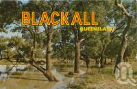 <span class="caption-caption">Coolibah trees along the Blackall River</span>, c1964. <br />Postcard folder by <span class="caption-publisher">Sydney G Hughes Pty Ltd</span>, collection of <span class="caption-contributor">Centre for the Government of Queensland</span>.