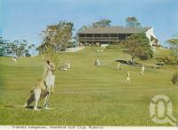 <span class="caption-caption">Headland Golf Club, Buderim</span>, c1970. <br />Postcard folder by <span class="caption-publisher">Bernard Kuskopf</span>, collection of <span class="caption-contributor">Centre for the Government of Queensland</span>.