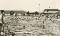 <span class="caption-caption">Swimming pool, Dalby</span>, c1938. <br />Postcard by <span class="caption-publisher">Murray Studios Pty Ltd</span>, collection of <span class="caption-contributor">Centre for the Government of Queensland</span>.