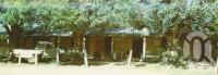 <span class="caption-caption">The Lions Den Hotel, Helenvale Cooktown</span>, c1964. <br />Postcard folder by <span class="caption-publisher">Unknown Publisher</span>, collection of <span class="caption-contributor">Centre for the Government of Queensland</span>.