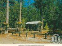 <span class="caption-caption">Forestry Headquarters, Fraser Island</span>, c1975. <br />Postcard folder by <span class="caption-publisher">Murray Views Pty Ltd</span>, collection of <span class="caption-contributor">Centre for the Government of Queensland</span>.