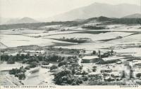 <span class="caption-caption">South Johnstone sugar mill</span>, c1960. <br />Postcard folder by <span class="caption-publisher">Frank Hurley</span>, collection of <span class="caption-contributor">Centre for the Government of Queensland</span>.