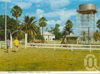 <span class="caption-caption">Rotary Park at Theodore, Dawson-Callide Valley</span>, c1972. <br />Postcard folder by <span class="caption-publisher">Murray Views Pty Ltd</span>, collection of <span class="caption-contributor">Centre for the Government of Queensland</span>.