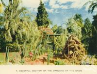 <span class="caption-caption">The gardens, the Oasis</span>, c1960. <br />Postcard folder by <span class="caption-publisher">Sydney G Hughes Pty Ltd</span>, collection of <span class="caption-contributor">John Young</span>.