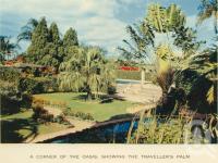 <span class="caption-caption">The Oasis, showing traveller's palm</span>, c1960. <br />Postcard folder by <span class="caption-publisher">Sydney G Hughes Pty Ltd</span>, collection of <span class="caption-contributor">John Young</span>.
