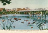 <span class="caption-caption">View across Brisbane River showing Victoria bridge, Brisbane's floral emblem the poinsettia in foreground</span>, c1958. <br />Postcard folder by <span class="caption-publisher">Sydney G Hughes Pty Ltd</span>, collection of <span class="caption-contributor">Centre for the Government of Queensland</span>.