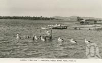 <span class="caption-caption">Pelicans, Noosa River</span>, c1938. <br />Postcard by <span class="caption-publisher">Murray Views Pty Ltd</span>, collection of <span class="caption-contributor">Centre for the Government of Queensland</span>.