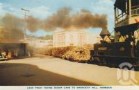 <span class="caption-caption">Cane train taking sugar cane to Maroochy Mill, Nambour</span>, c1958. <br />Postcard folder by <span class="caption-publisher">Sydney G Hughes Pty Ltd</span>, collection of <span class="caption-contributor">Centre for the Government of Queensland</span>.