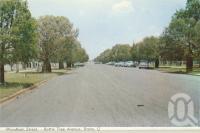 <span class="caption-caption">Wyndham Street, Bottle Tree Avenue, Roma</span>, c1962. <br />Postcard folder by <span class="caption-publisher">Murray Views Pty Ltd</span>, collection of <span class="caption-contributor">Centre for the Government of Queensland</span>.