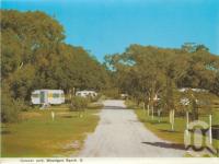 <span class="caption-caption">Caravan park, Woodgate Beach</span>, c1964. <br />Postcard folder by <span class="caption-publisher">Murray Views Pty Ltd</span>, collection of <span class="caption-contributor">Centre for the Government of Queensland</span>.