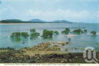 <span class="caption-caption">Lammermoor Beach, looking north to Wreck Point, scenic drive, Emu Park, Yeppoon</span>, 1965. <br />Postcard folder by <span class="caption-publisher">Murray Views Pty Ltd</span>, collection of <span class="caption-contributor">Centre for the Government of Queensland</span>.
