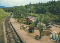<span class="caption-caption">Kuranda Railway Station</span>, c1962. <br />Postcard folder by <span class="caption-publisher">Unknown Publisher</span>, collection of <span class="caption-contributor">Centre for the Government of Queensland</span>.